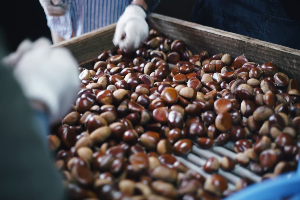 【配送開始 12月12日～順次】米粉のマロンシュトーレン ※限定製造　※グルテンフリー